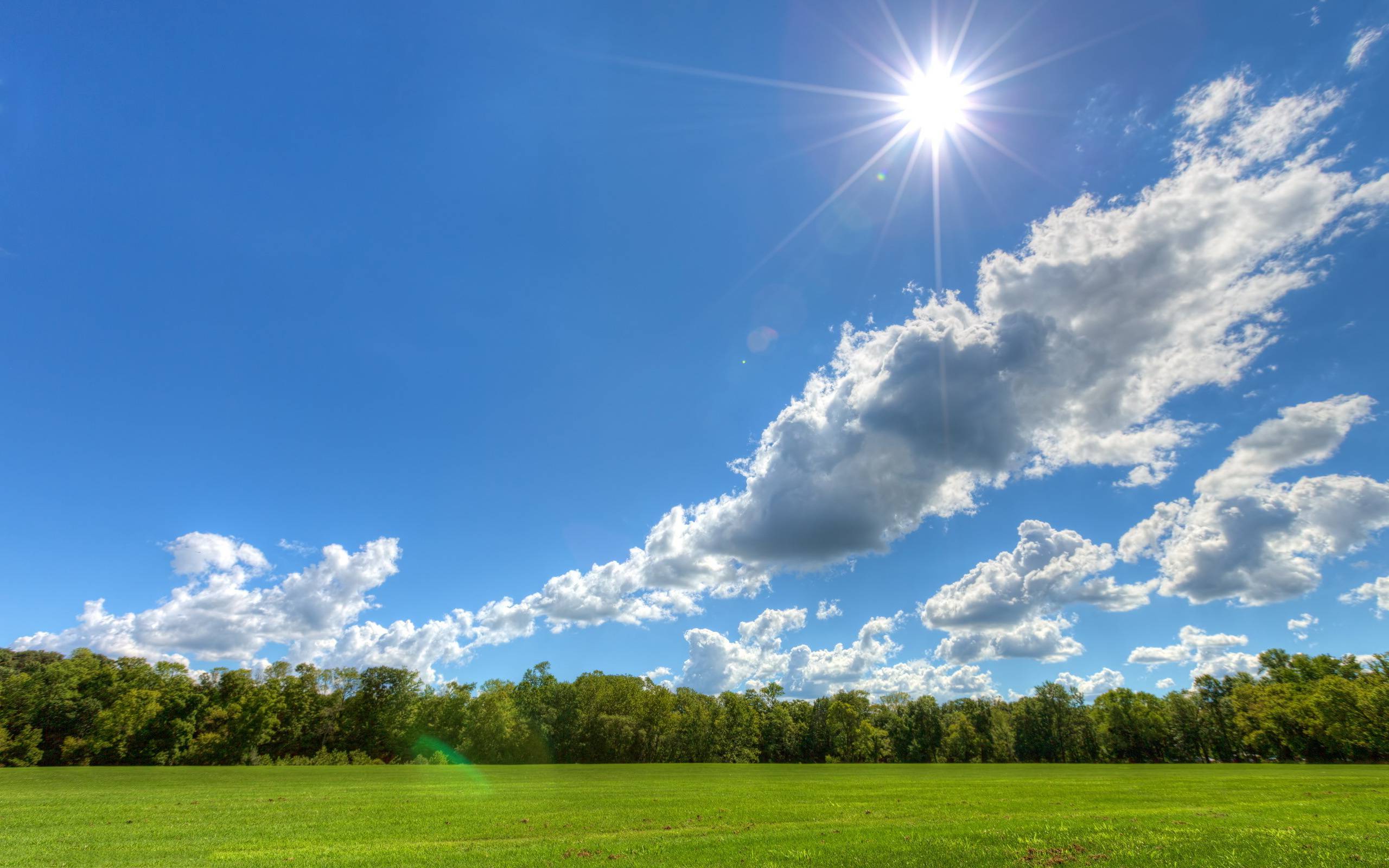 Sunny Day Backgrounds Wallpaper Cave