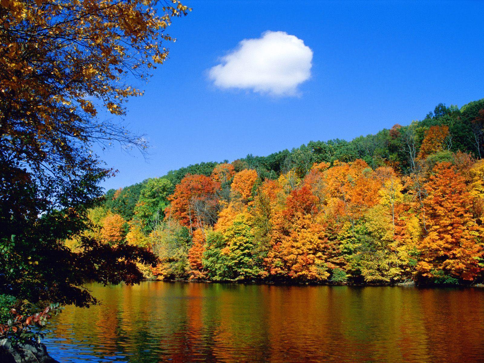 Shoreline in autumn free desktop backgrounds