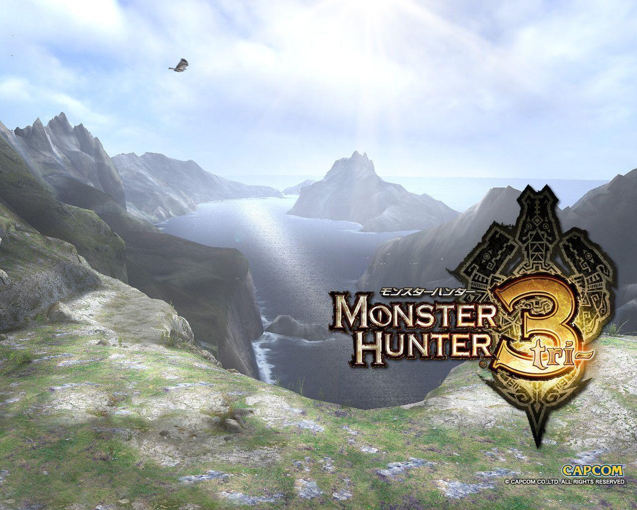Monster Hunter 3 tri