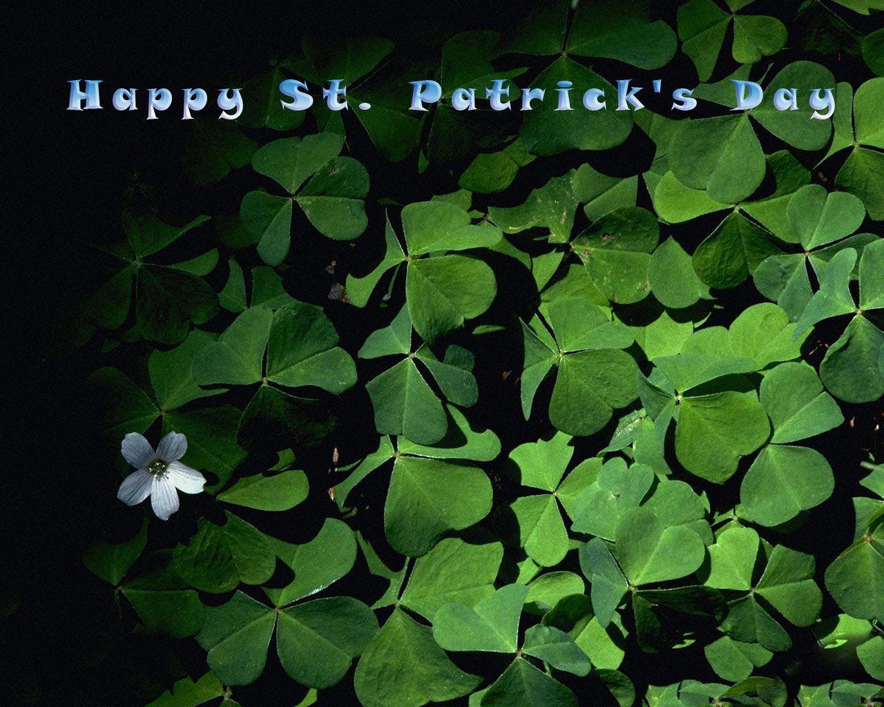 Desktop Wallpaper · Gallery · Miscellaneous · Clovers Saint
