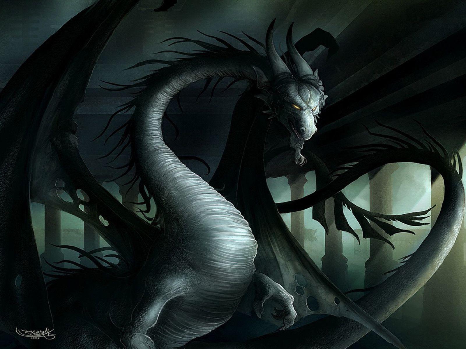 Fantasy Dragon desktop wallpaper