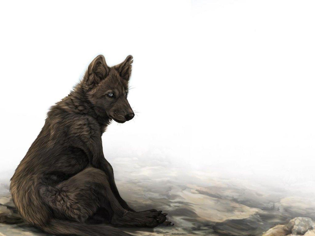 Fantasy Wolf On Rock in Animals