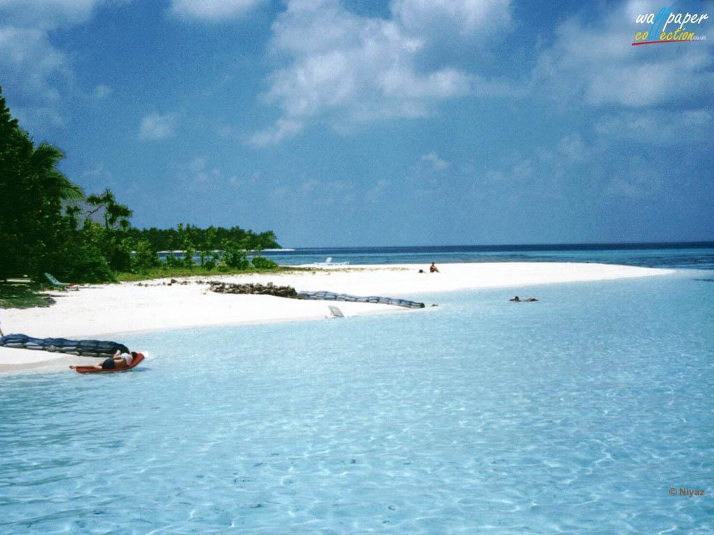 wallpaper free desktop themes