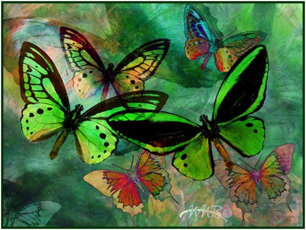 Wallpaper For > Green Butterfly Wallpaper