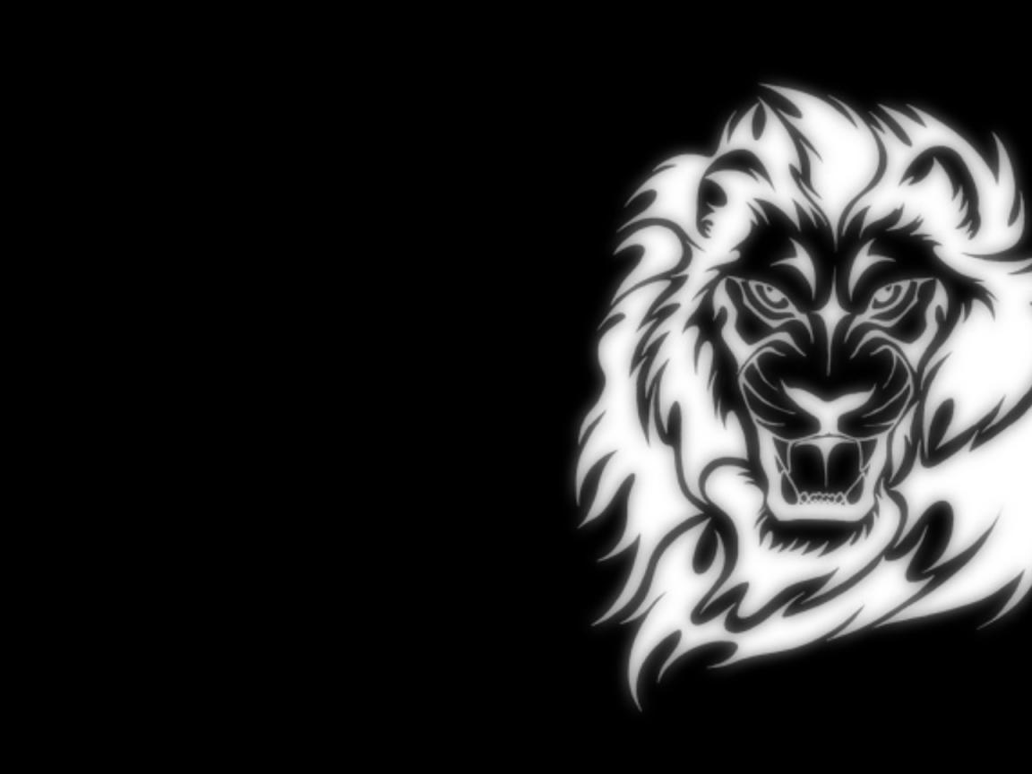 Lion Wallpaper Black And White