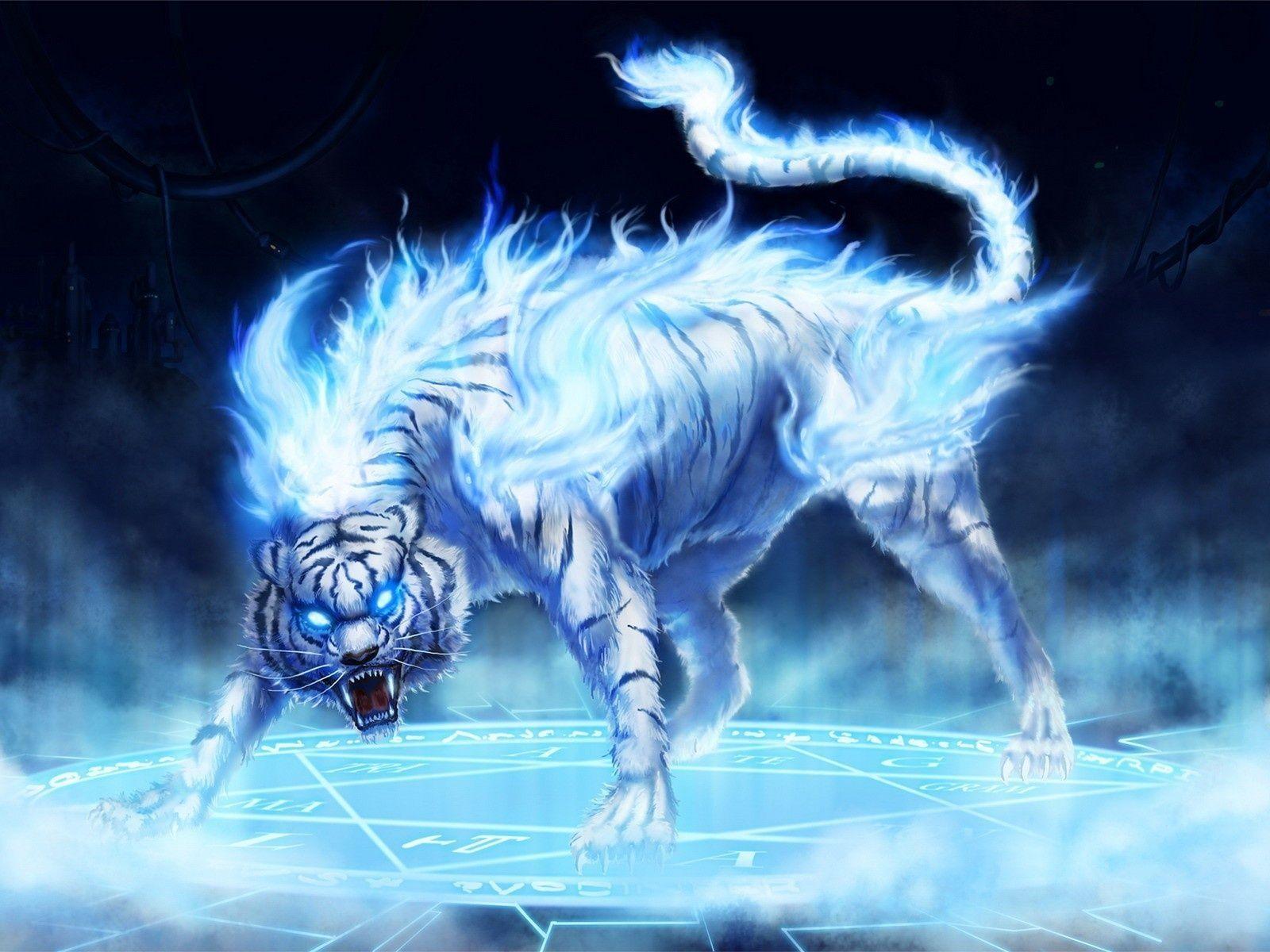 Blue Fire Tiger Image & Picture