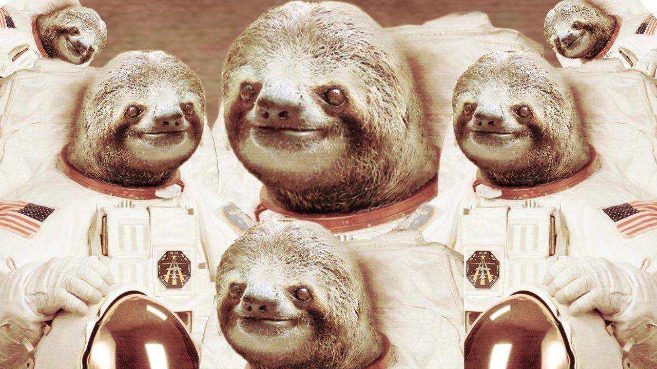Animals For > Sloth In Space Wallpaper