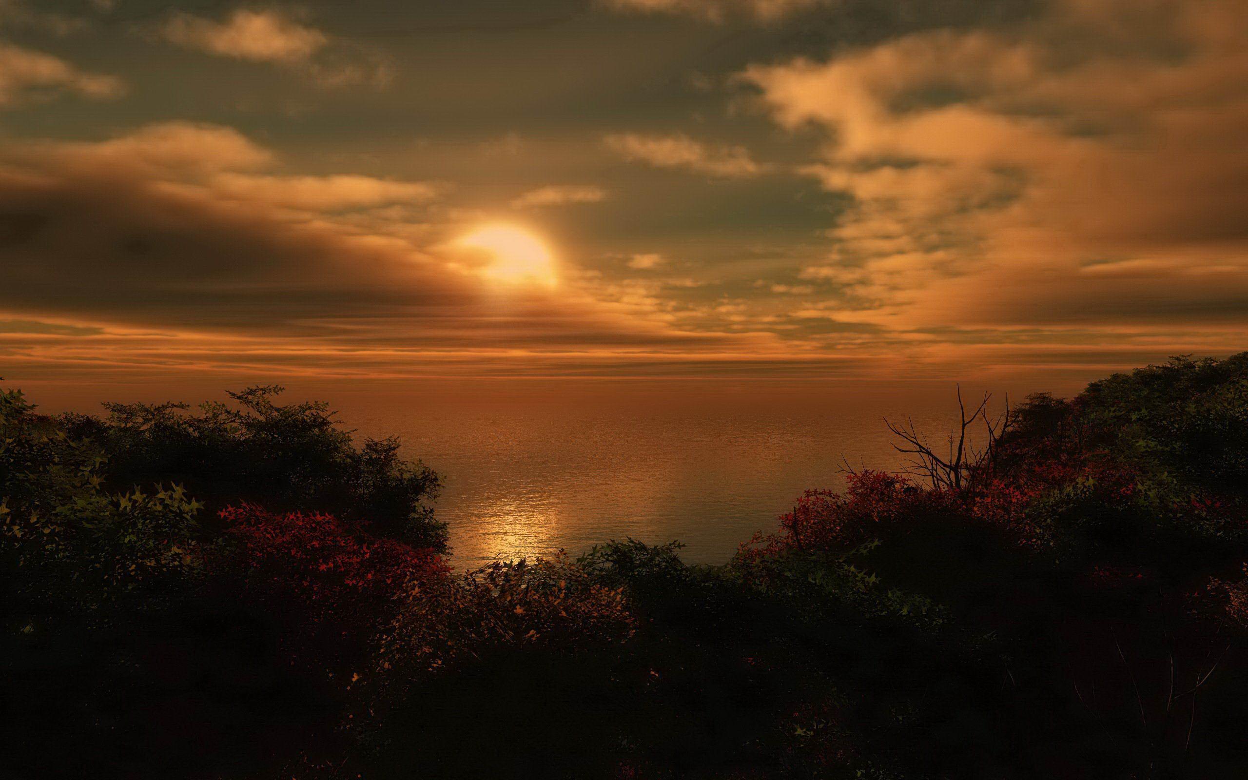 Free Nature Wallpaper For Mac Wallpaper. ForestHDWallpaper
