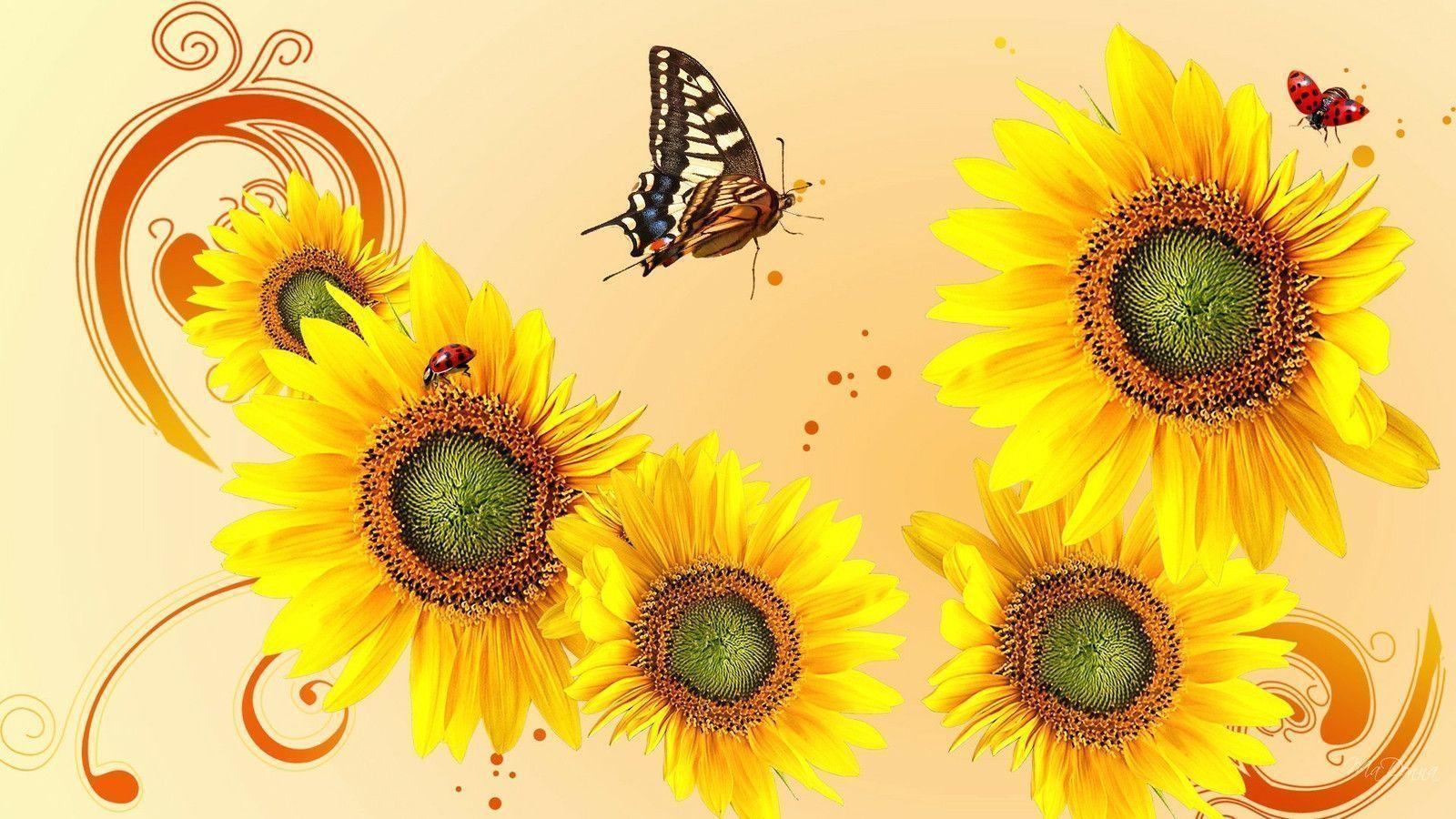 Sunflower Wallpaper