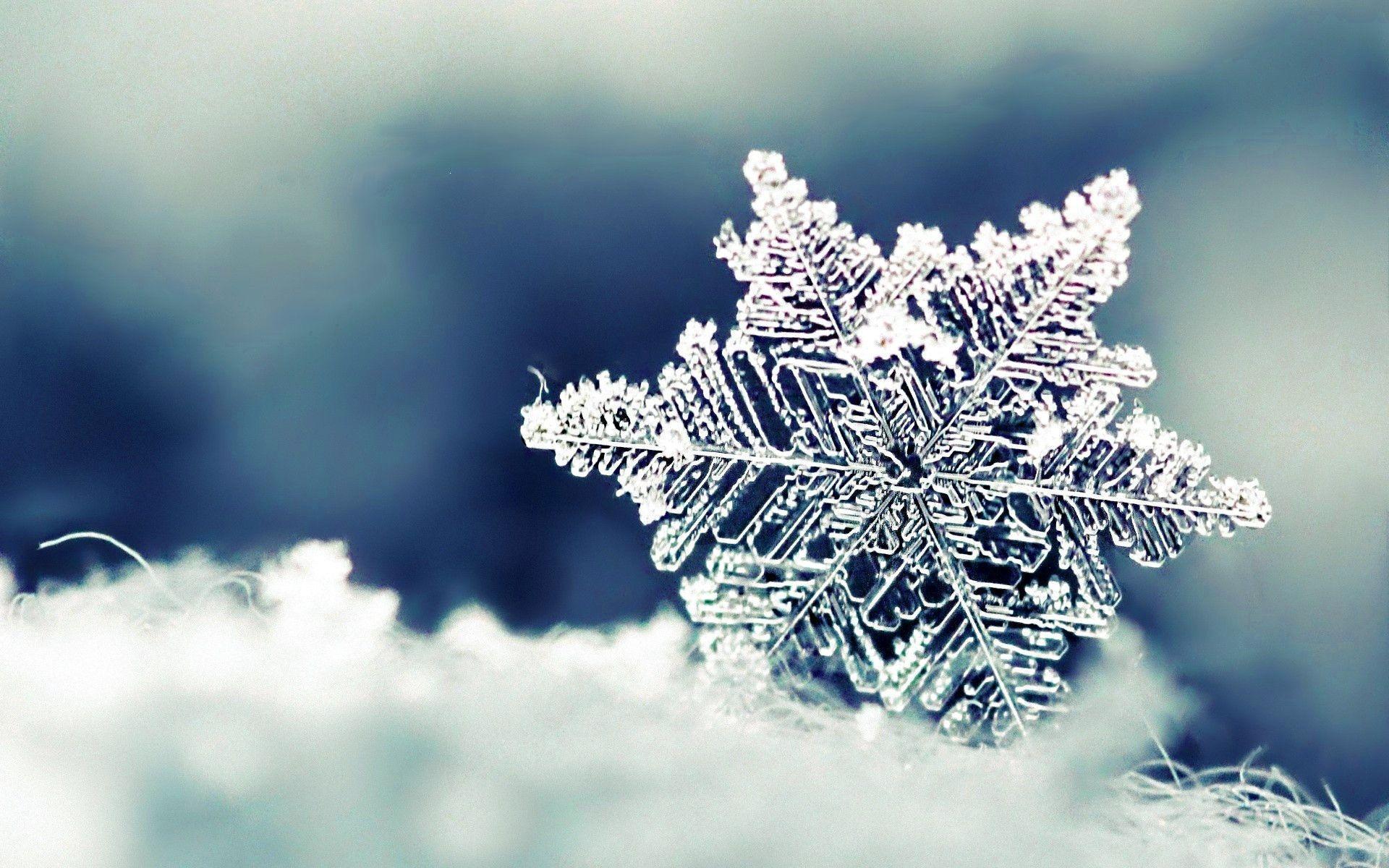 Real Snowflakes Wallpaper