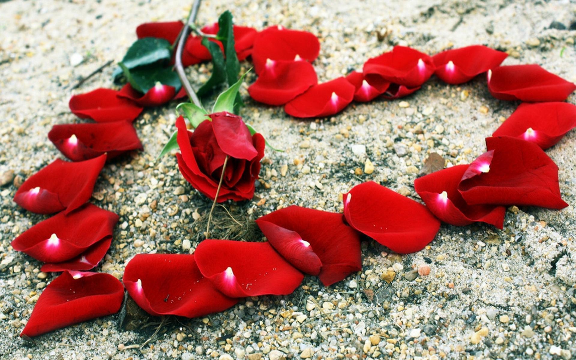White And Red Heart Wallpaper