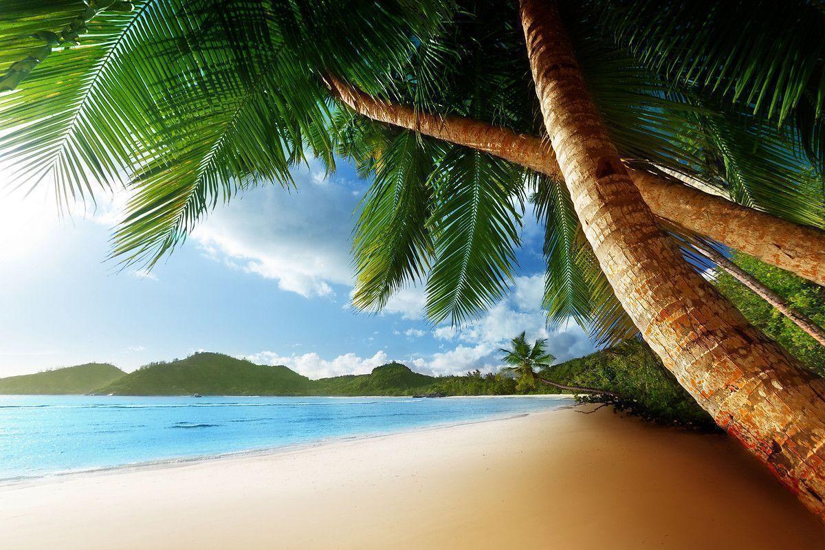 Free Wallpapers Caribbean Beaches