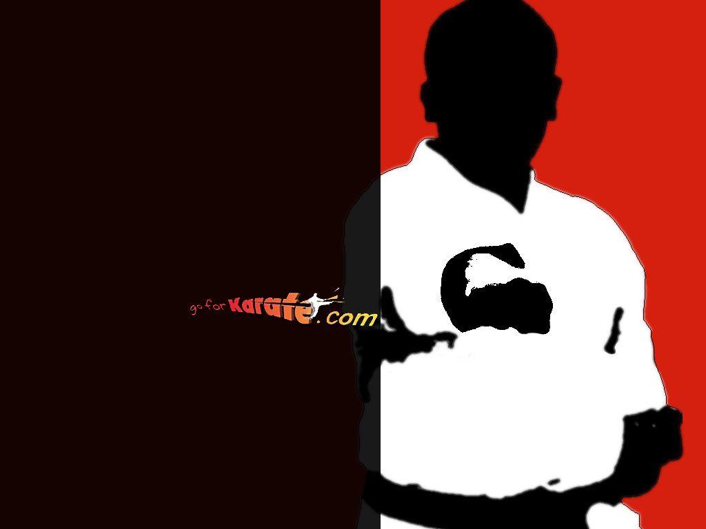 Free Karate Silhouette Wallpaper Download The 1024x768PX