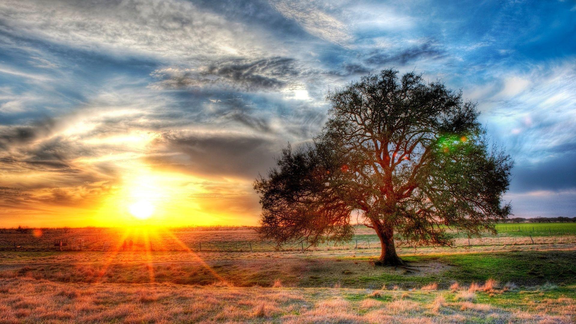 Sunset On A Texas Farm Hdr 1920x1080 Full HD. Free Wallpaper