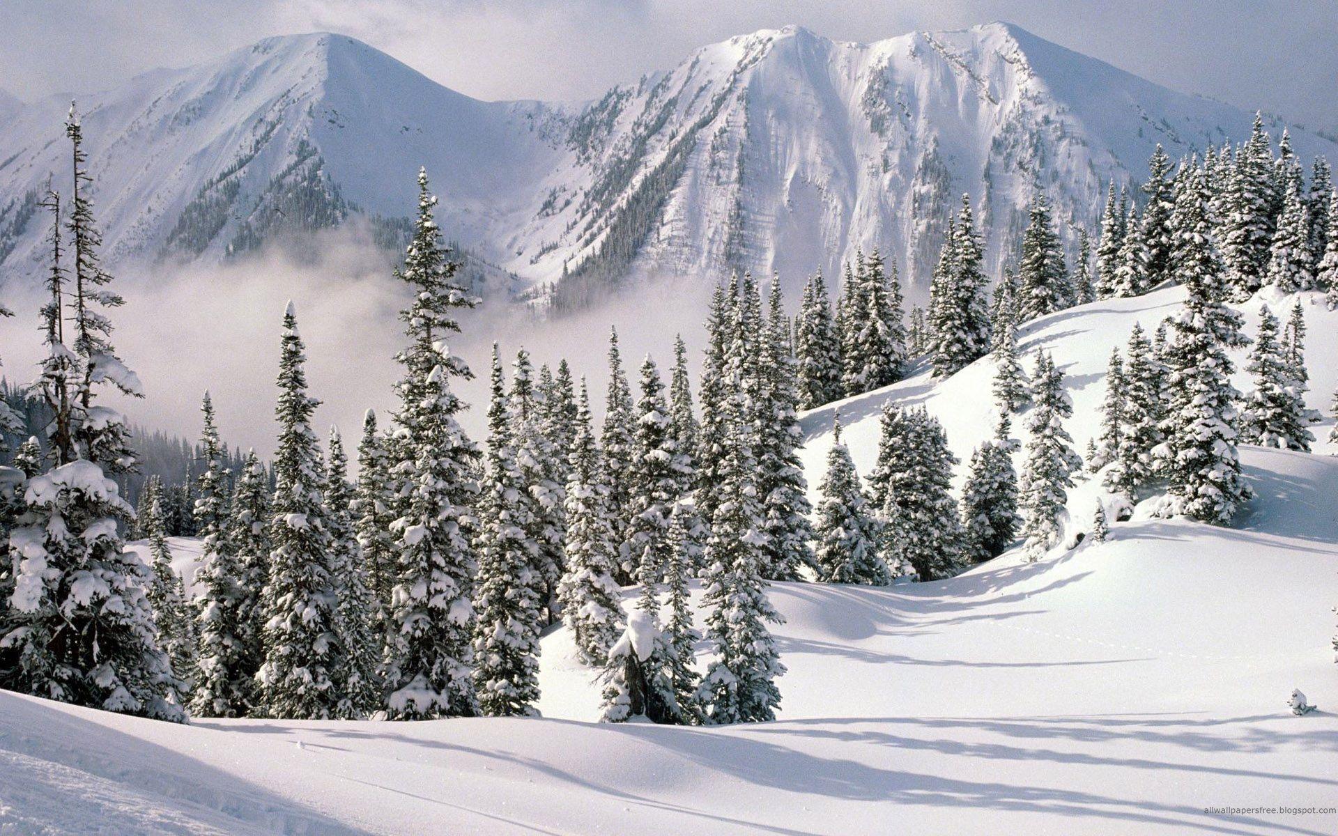Winter Nature Wallpapers High Resolution Wallpapers Cool HD