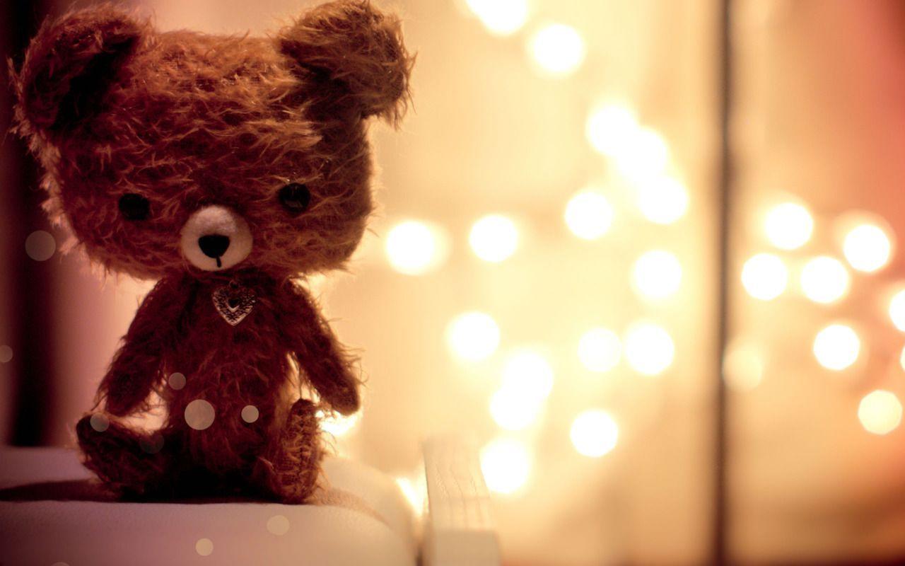 Teddy Wallpapers - Wallpaper Cave