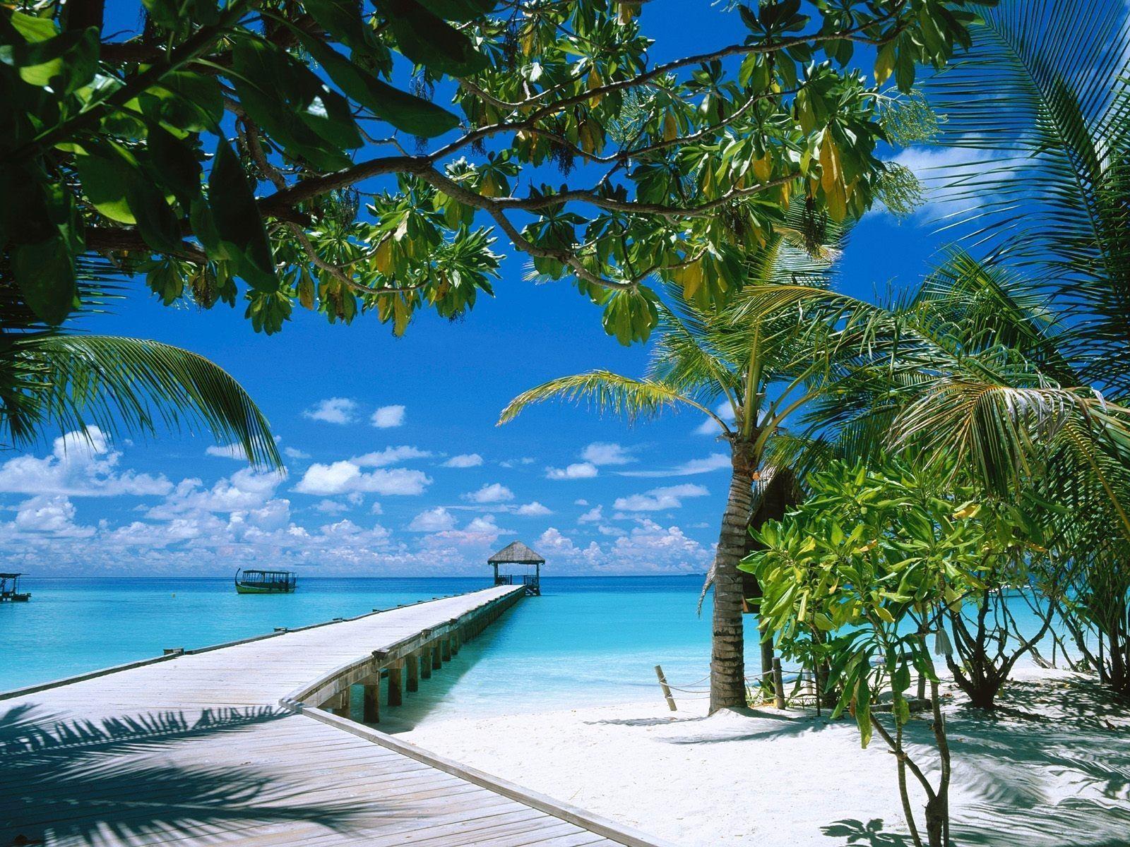 Amazing View OfTropical Island Wallpaper taken from Tropical