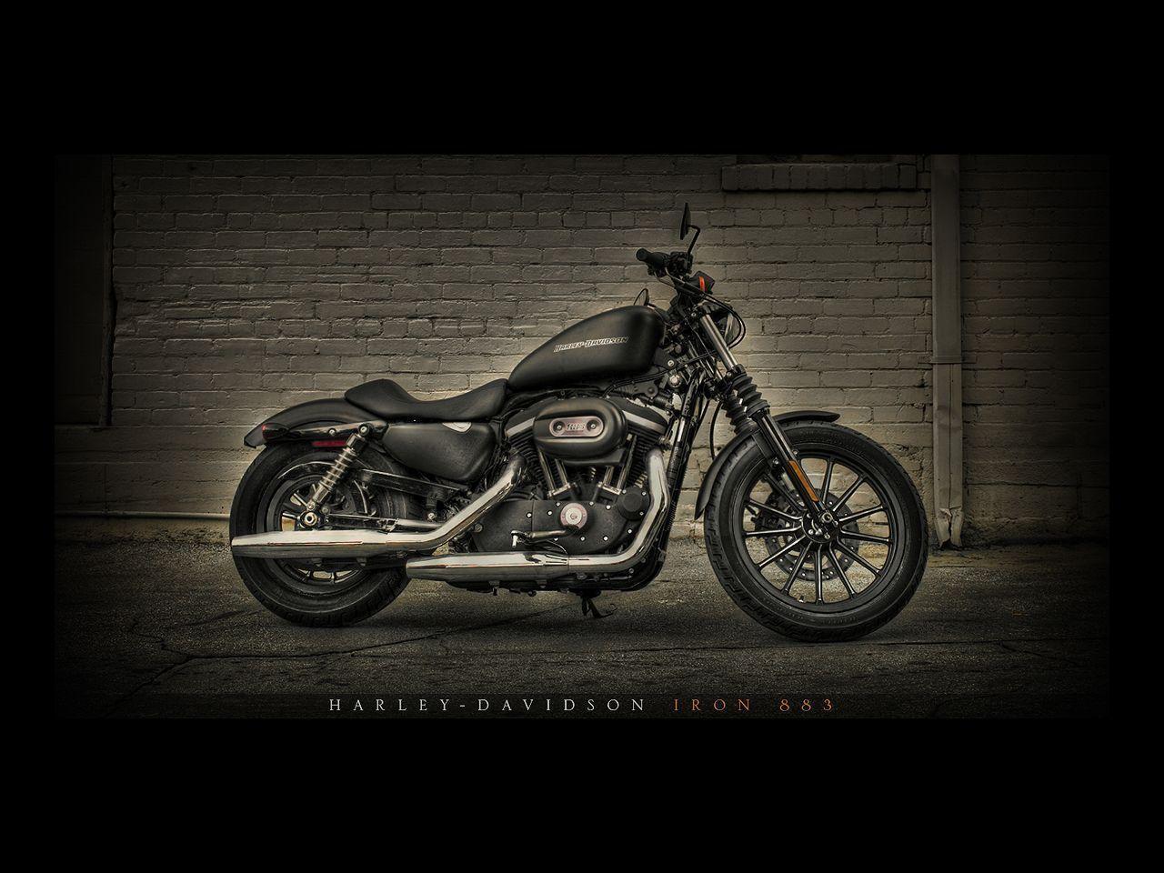 image For > Harley Davidson Iron 883 Wallpaper
