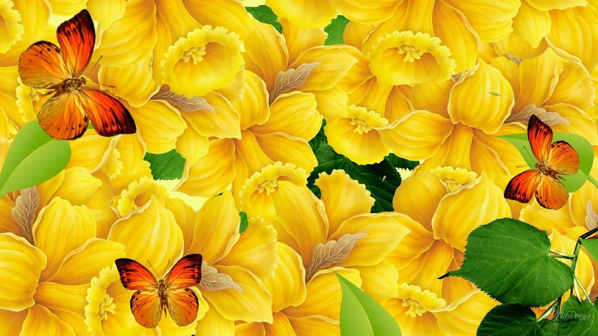 Download Colorful Butterflies HD background. HD Wallpaper