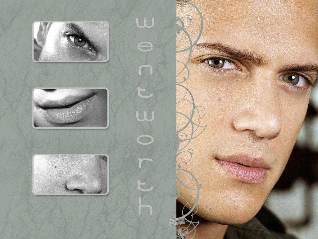 Wentworth Miller Miller Wallpaper