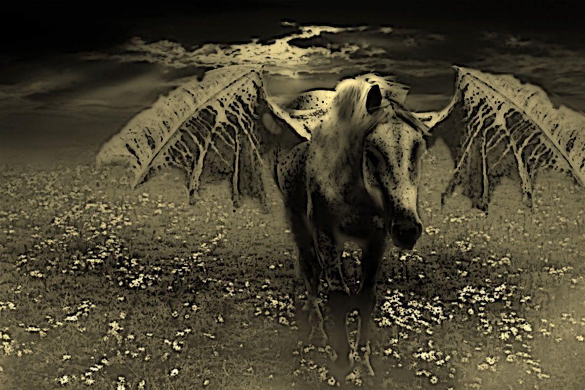 Creepy Halloween Wallpaper Desktop