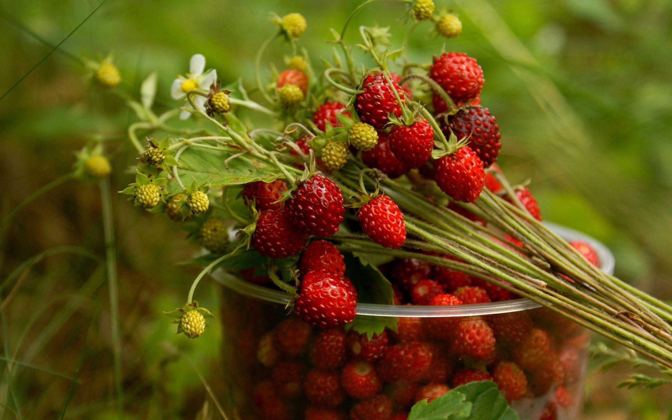 Strawberry Desktop Wallpaper. Strawberries Fruit Image. Cool