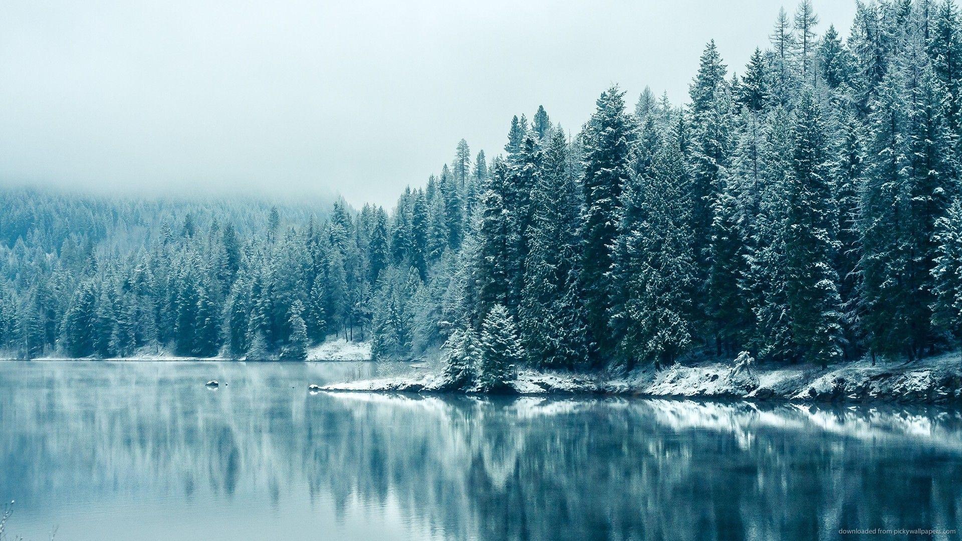 Winter Lake And Trees Wallpaper