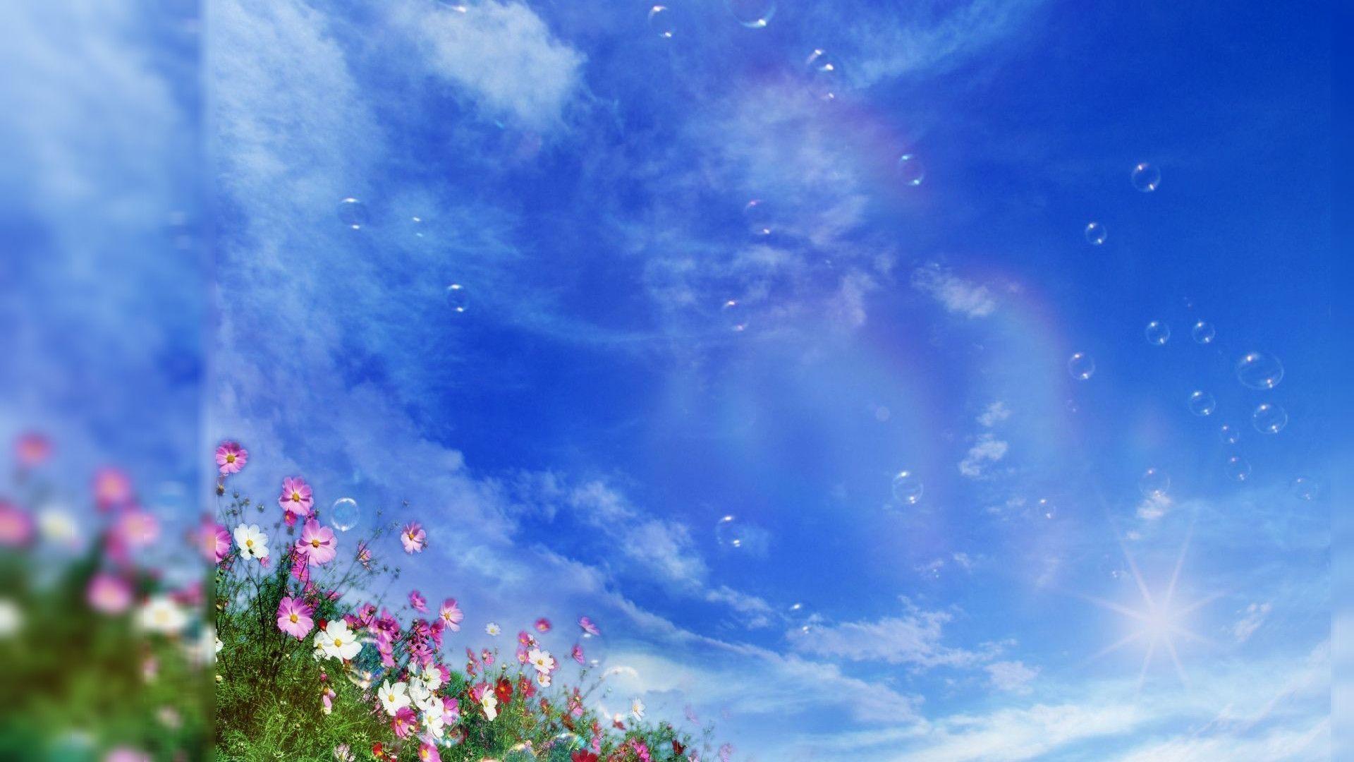 Summer Desktop Background 1 HD Wallpaper. Hdimges