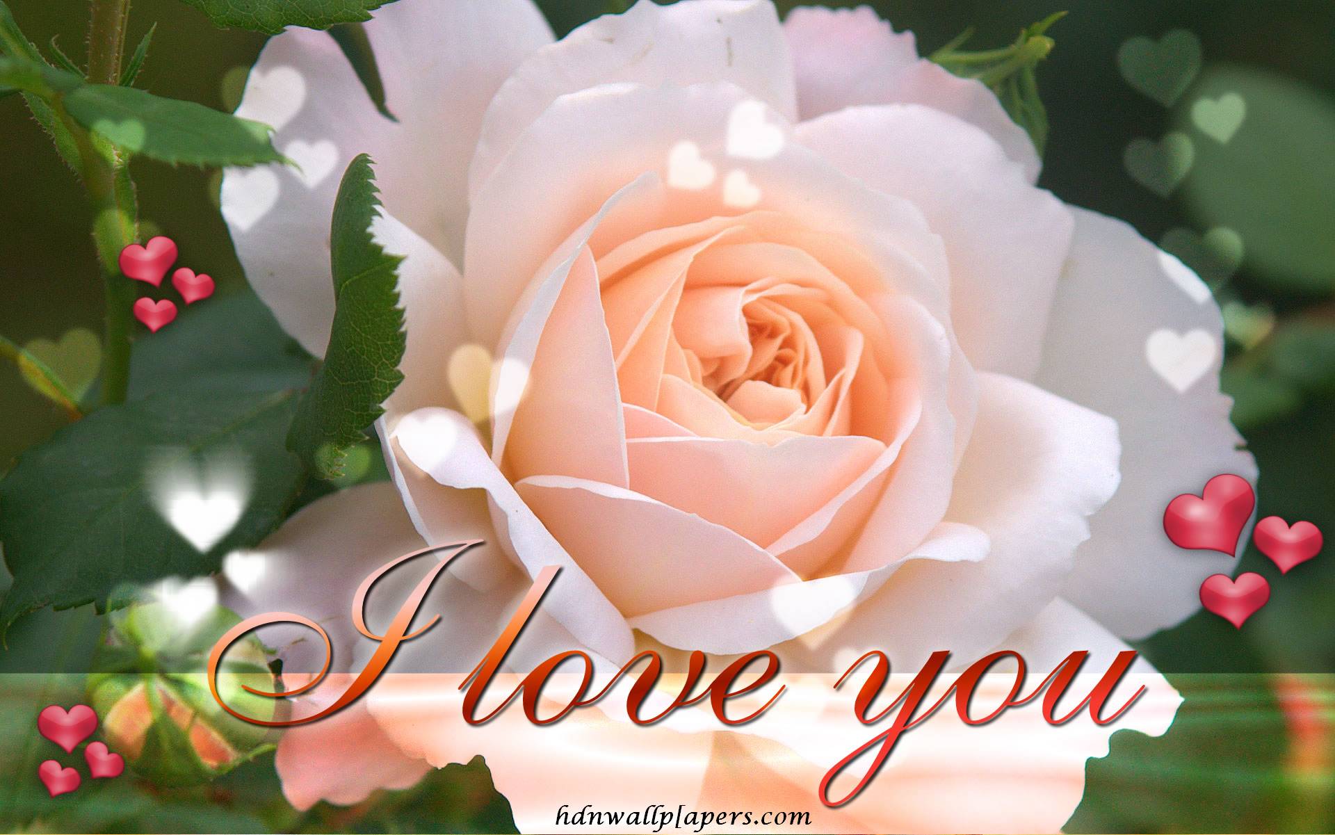 Love couples HD wallpaper free download Wallpaper 100% High