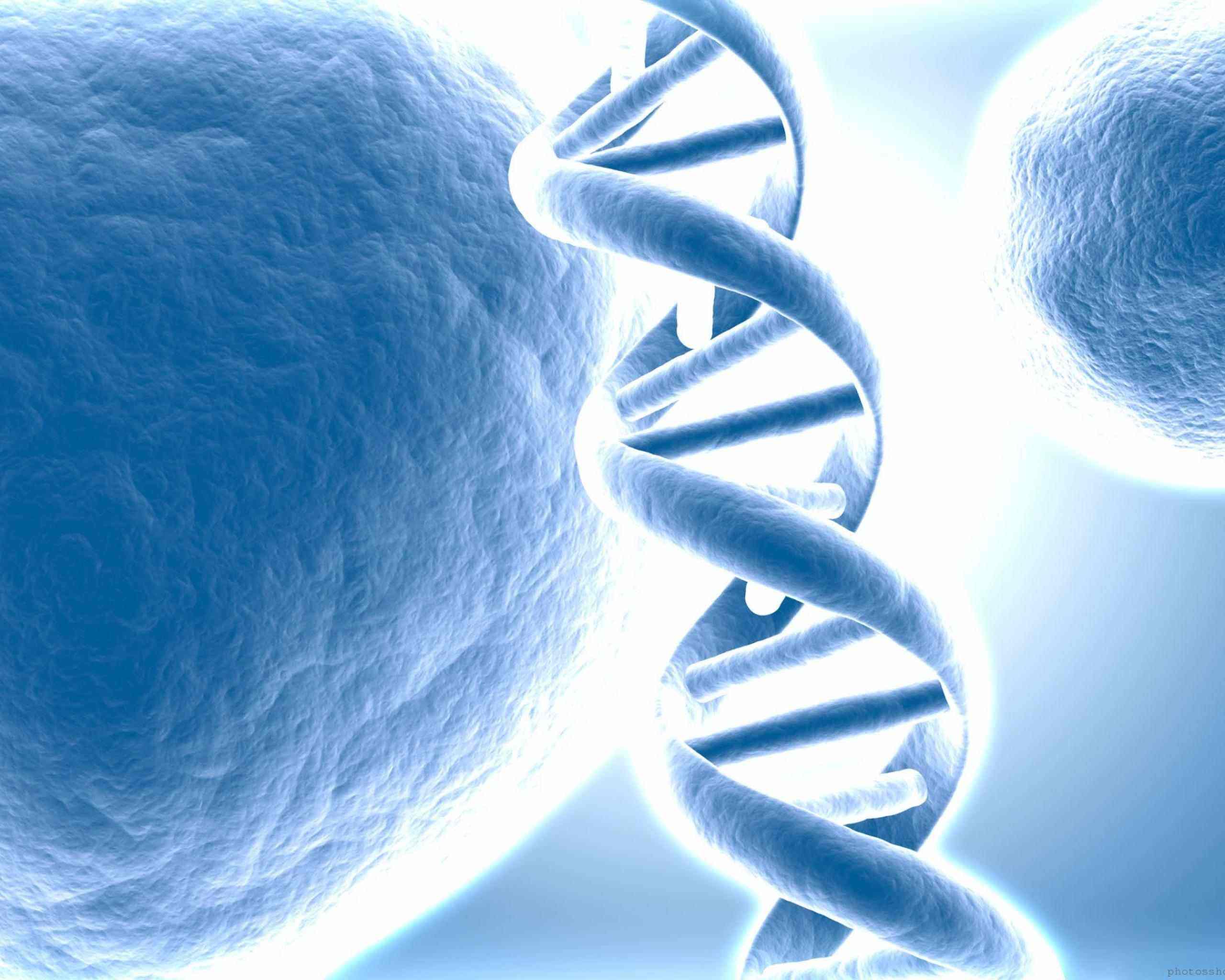 image For > Human Dna Wallpaper