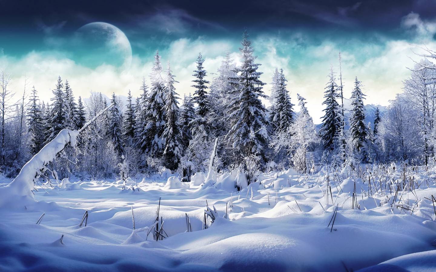Free Download Winter Scenery PowerPoint Background. PowerPoint E