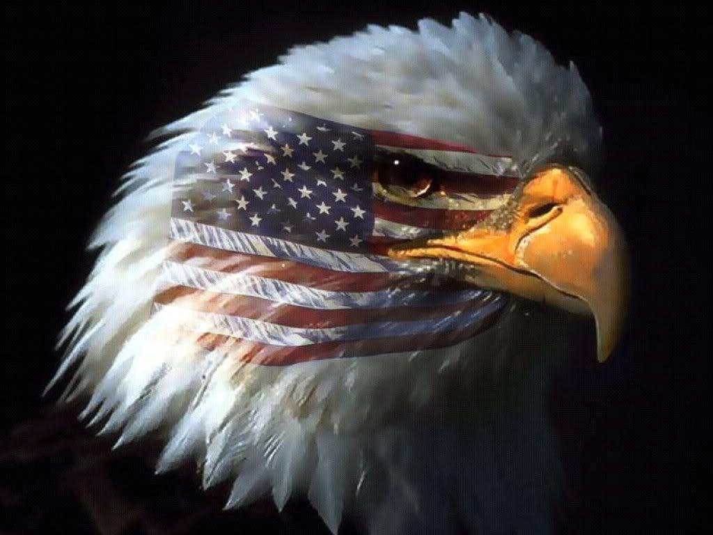 Tarantula&Wallpaper: Patriotic Page American Eagles