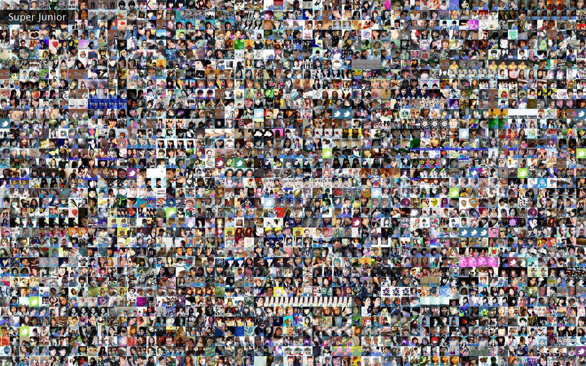 Super Junior Junior Twibute 2500