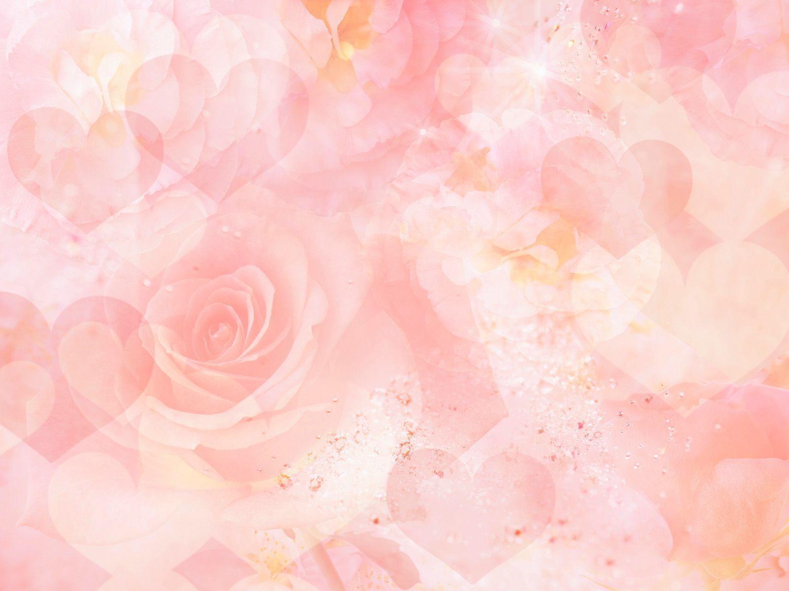 Best Roses Background, High Definition, High Quality