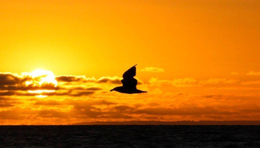 Download Sunset Background Desktop Background. Desktop Background HQ