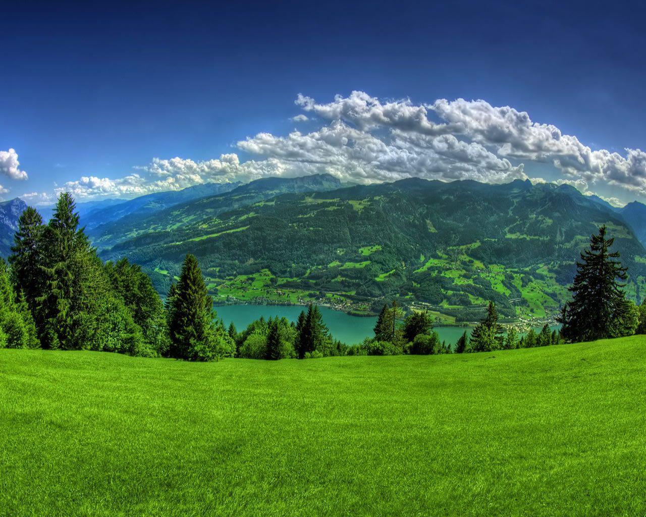 Free Desktop Widescreen 2 Wallpaper and Background