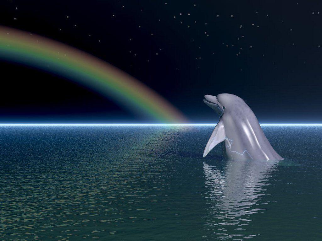 Dolphin under the rainbow Wallpaper Wallpaper 3505