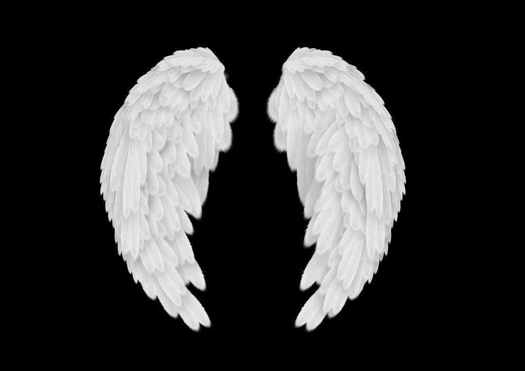 Angel wings PSD by Mithos on deviantART