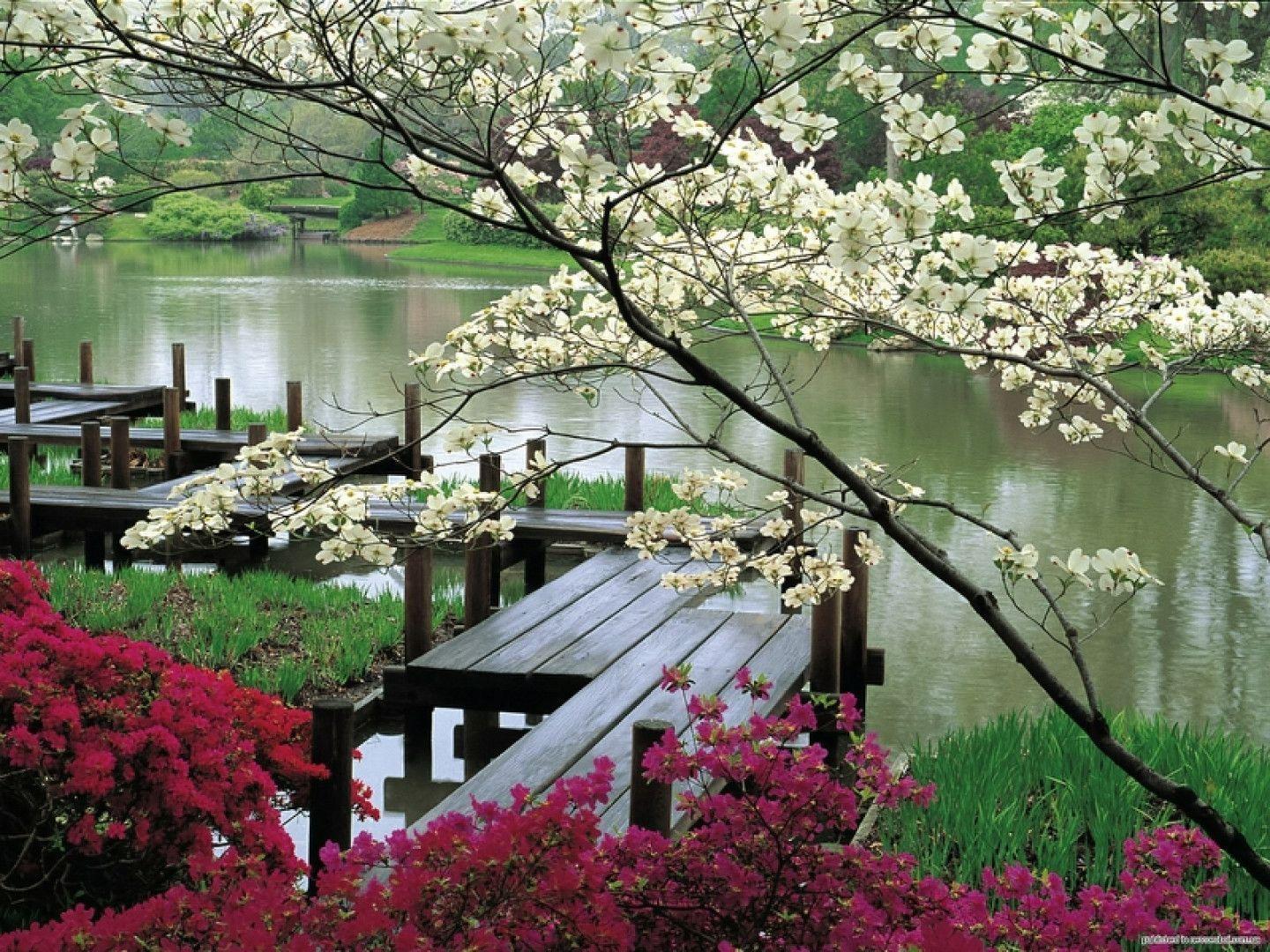 Japanese Flower Garden Wallpapers Awesome 716789 Inspiration
