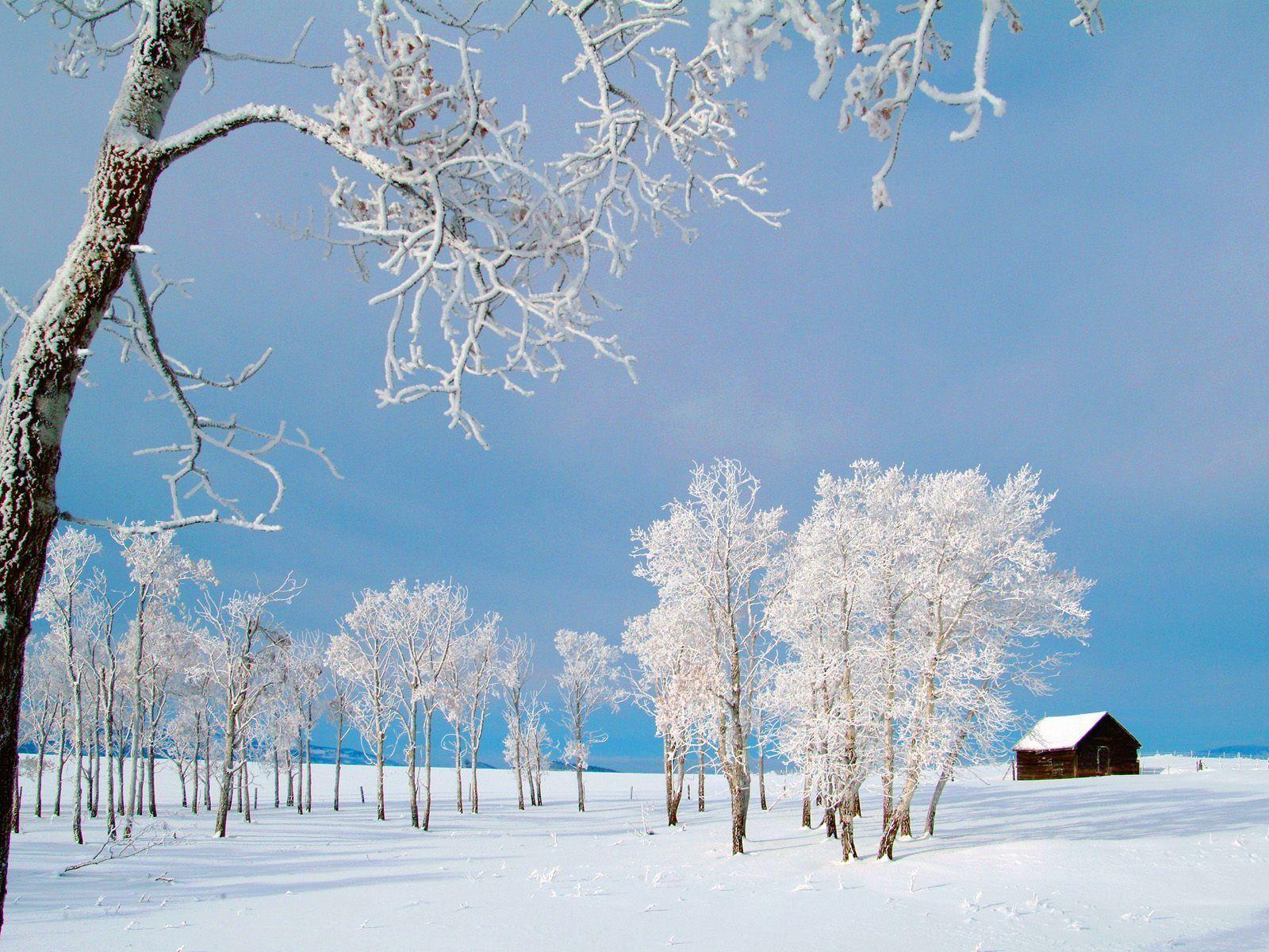 Winter Scenes Wallpapers 2 amazing picture 409349 High Definition