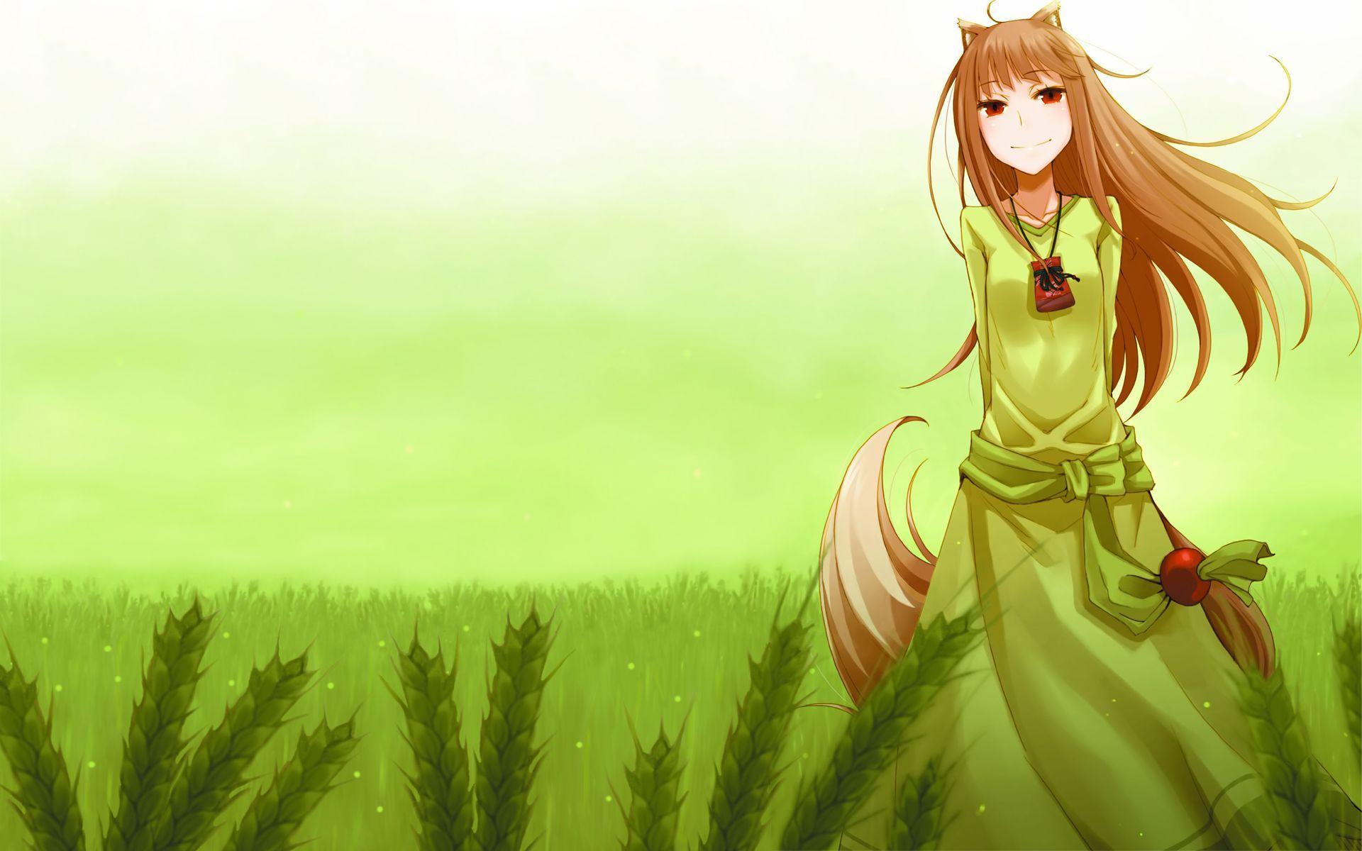 Holo The Wise Wolf Wallpaper