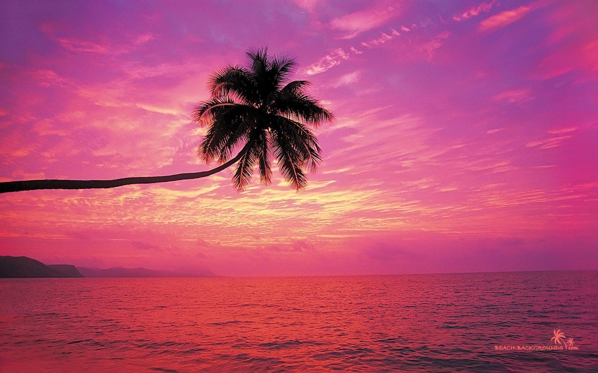 sunset beach wallpaper HD Image Wide For Desktop Background