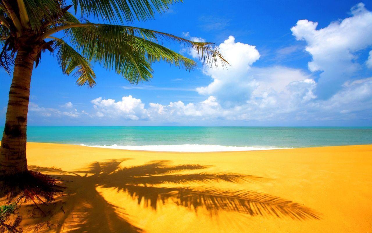 Beach Desktop Background X Pixel Popular HD 1024x600px high