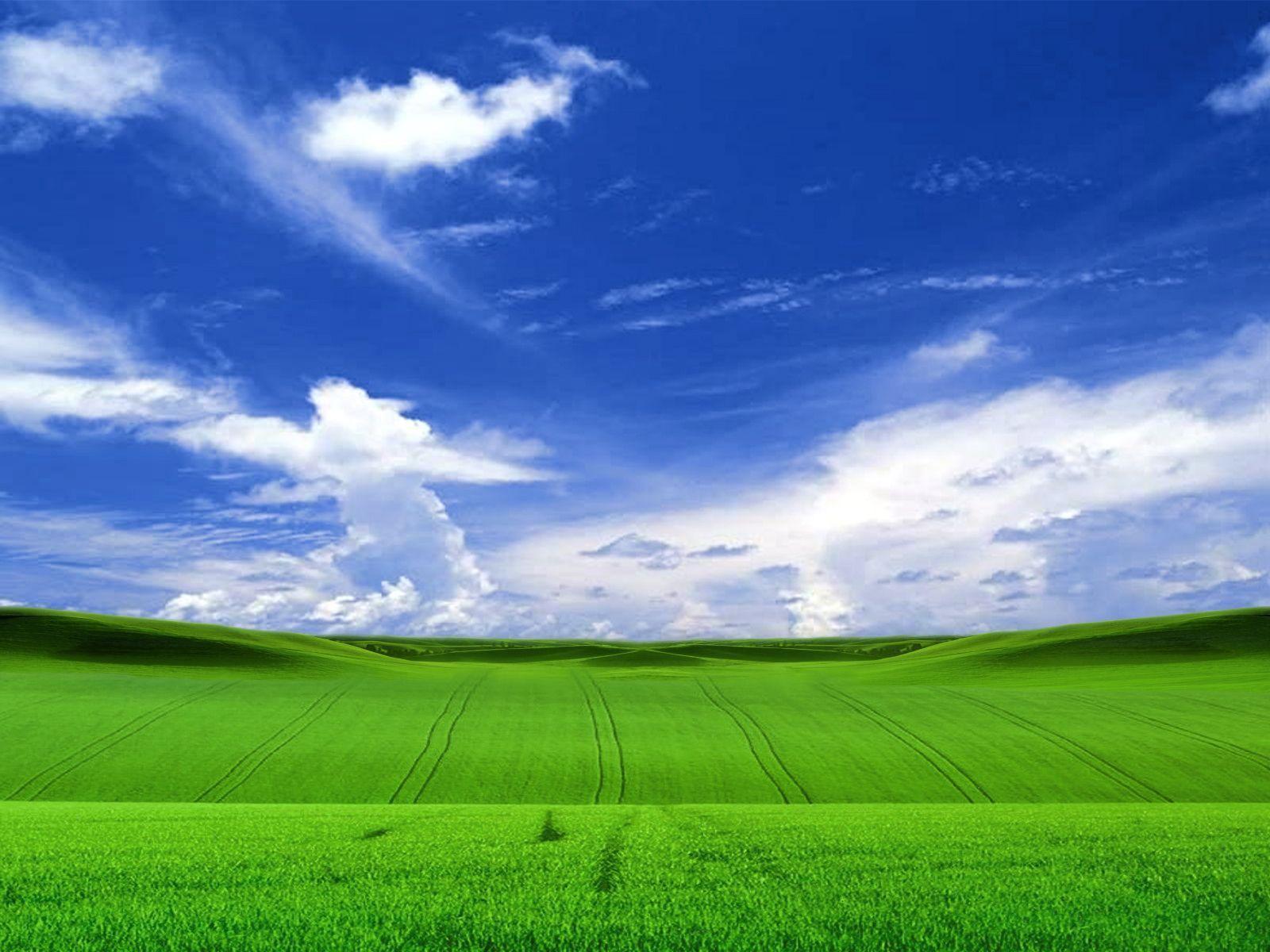 windows xp wallpaper