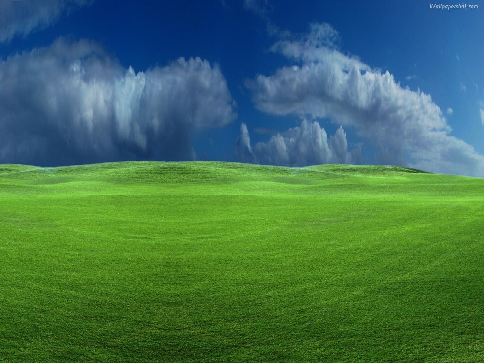 Windows Xp Wallpapers Hd Wallpaper Cave