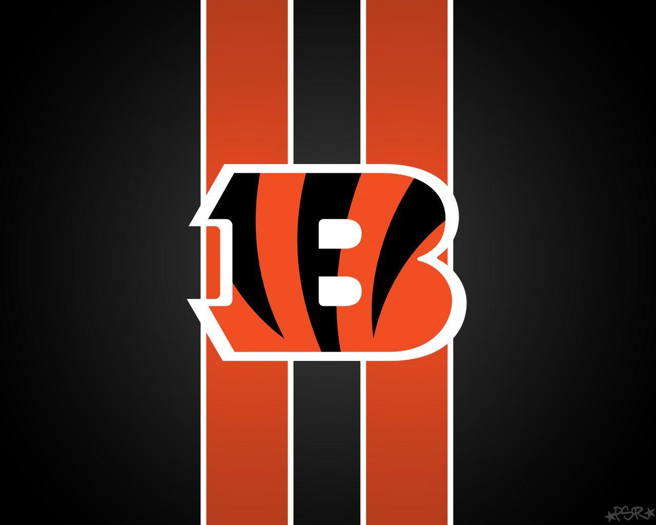 Cincinnati Bengals Wallpapers on WallpaperDog