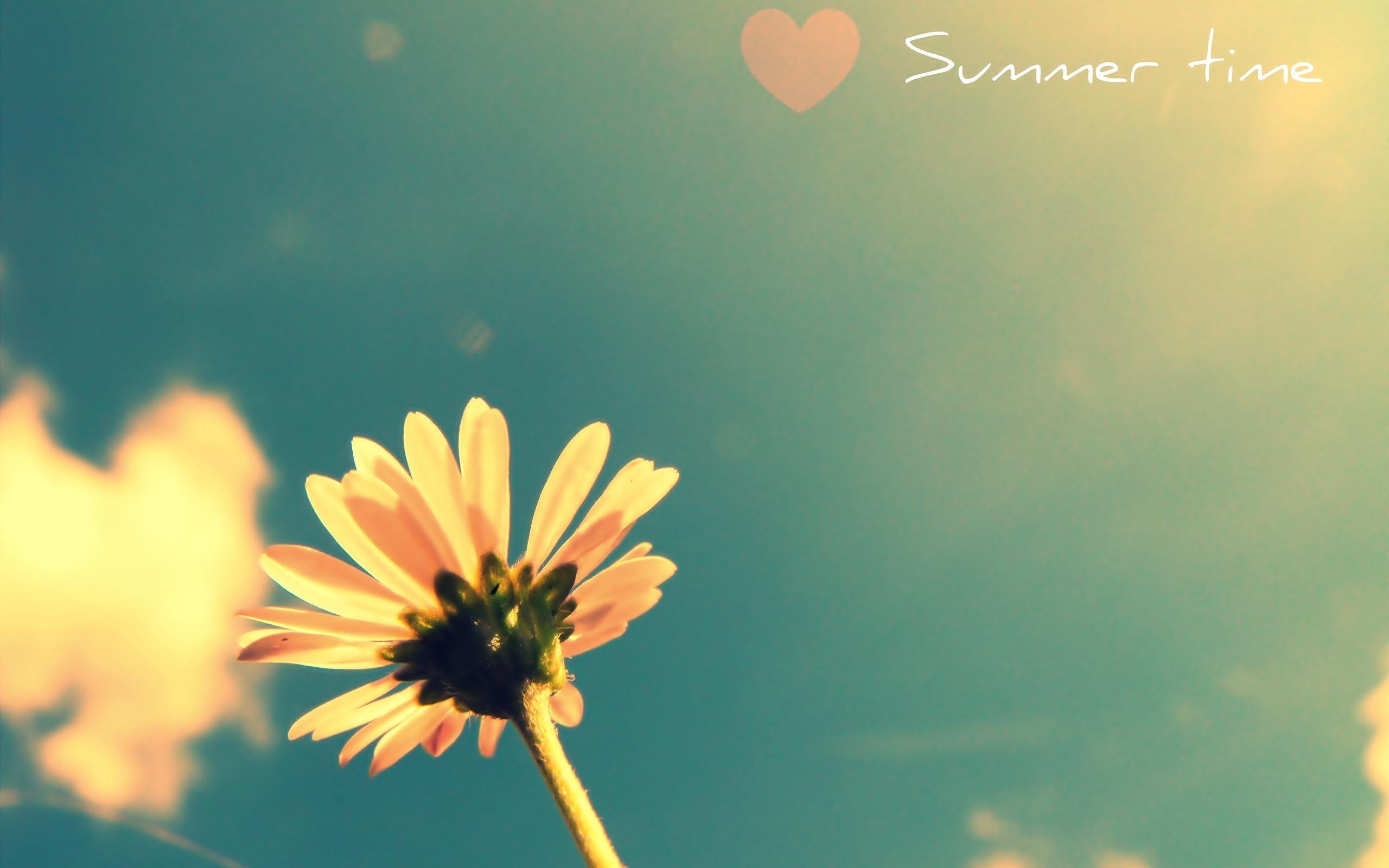 Summer Time Wallpaper and Background