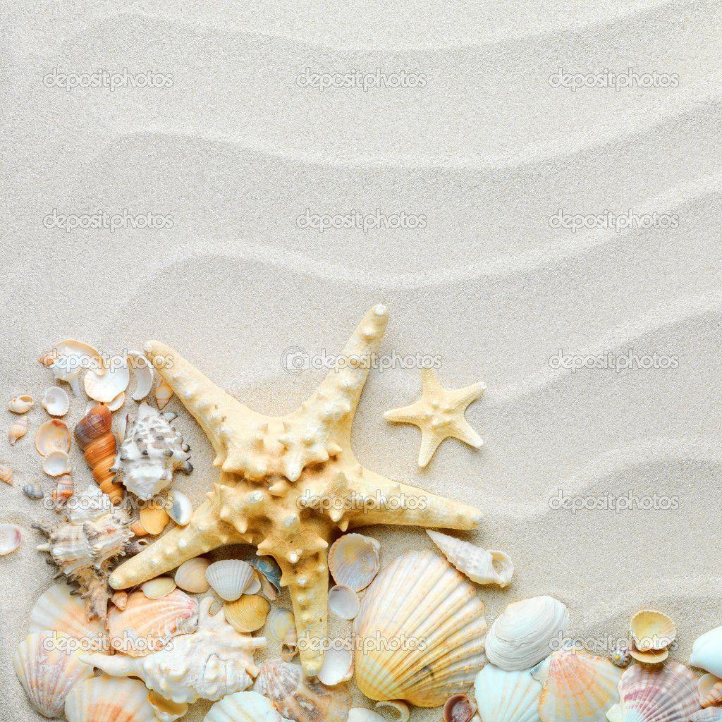 Starfish Background 33924 HD Desktop Background and Widescreen