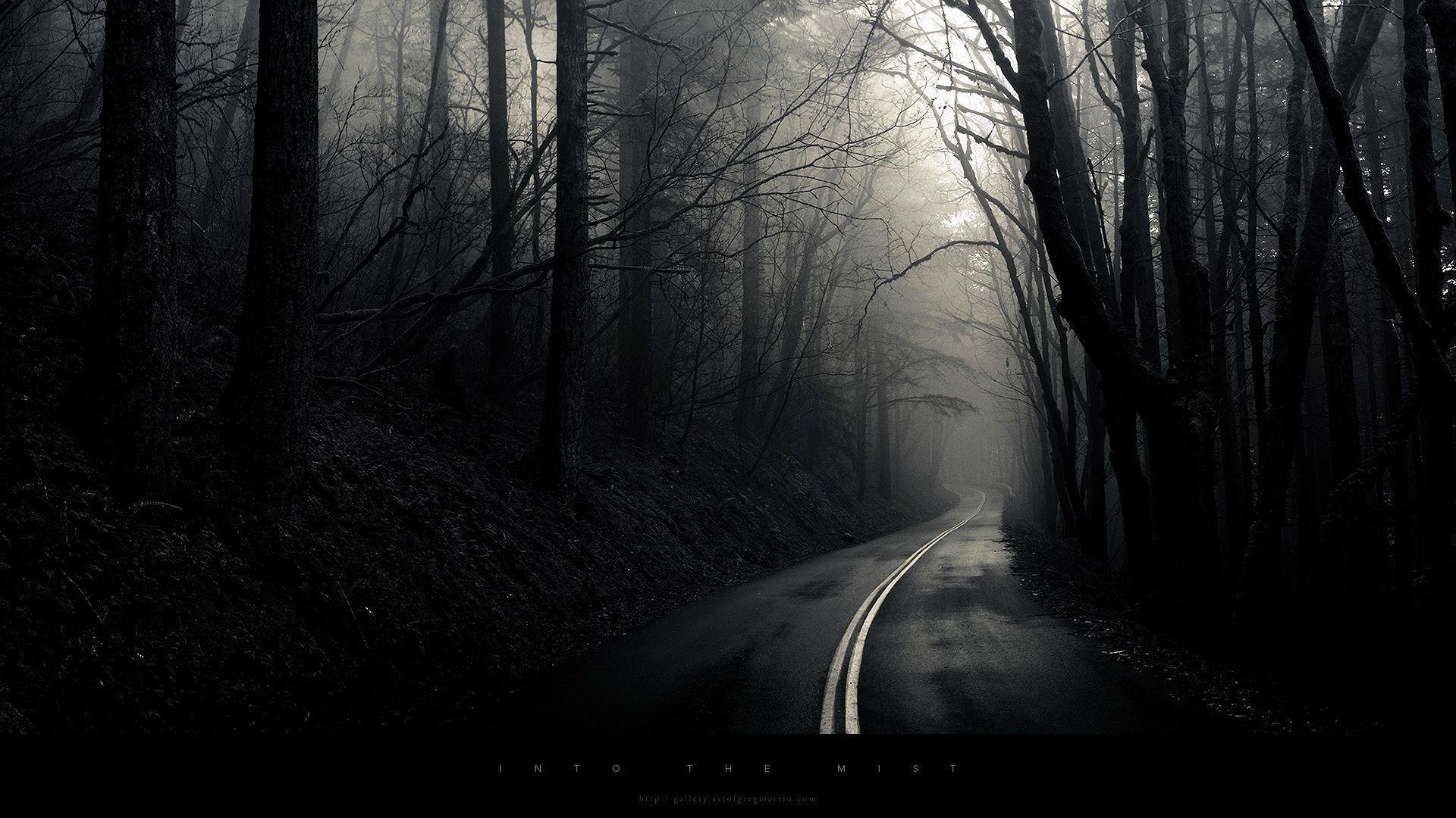 Into The Mist, Dark, Darkness, Forest, Road. Free HD wallpaper