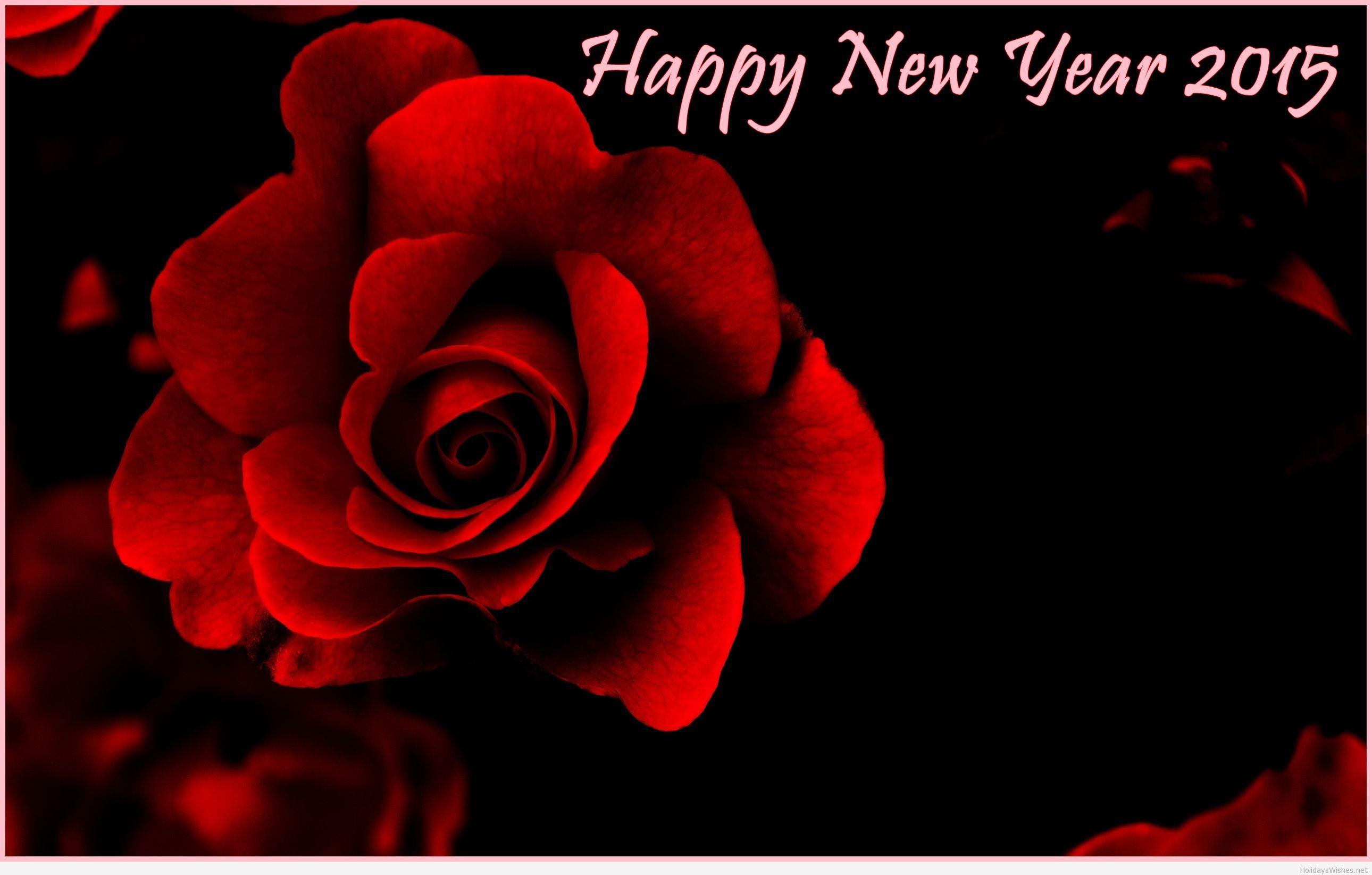 Love red rose wallpaper with message 2015